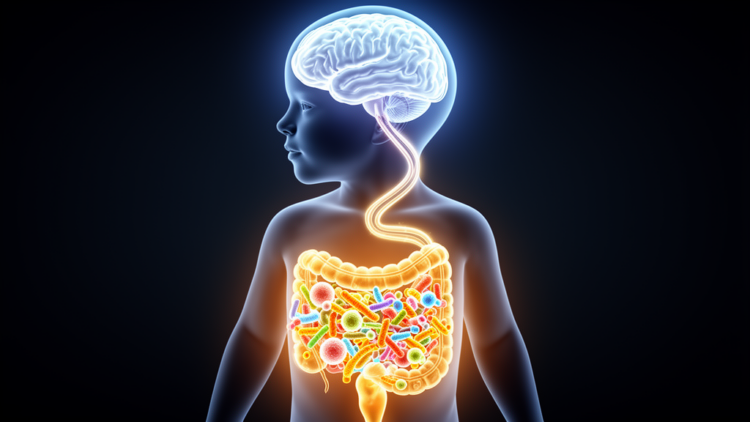 Gut Microbes Linked to Brain Abnormalities in Childhood Vascular Disease
