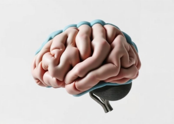 How Exercise Reshapes the Brain: A Two-Way Conversation Between Body and Mind