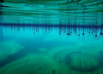 Hidden seawater signatures intensify far inland in a vulnerable Kerala aquifer