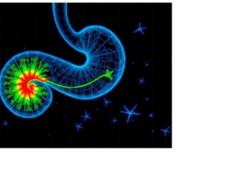 Spatiotemporal Framework Aims to Reshape Precision Care for Gastric and Colorectal Cancers