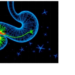 Spatiotemporal Framework Aims to Reshape Precision Care for Gastric and Colorectal Cancers