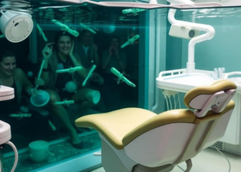 Dental Chair Waterlines Harbor Hidden Biofilms as Global Safety Standards Diverge