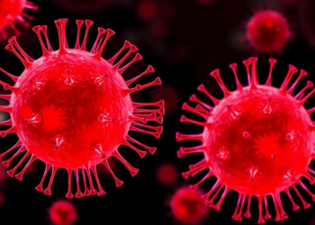 Rare IL-15-Driven NK Cell Subset Supercharges T Cell Attack on Melanoma