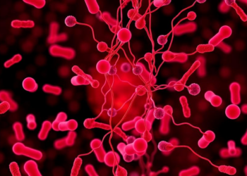 Therapeutic B-cell depletion with obinutuzumab modulates key immunopathological pathways in lupus nephritis: an exploratory whole blood transcriptomic analysis of the phase II NOBILITY trial