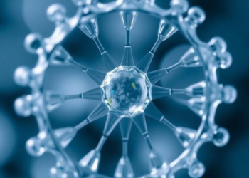 Why Your Nanomedicine Might Not Be as Precise as It Claims: A New Framework Demands Proof