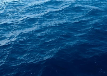 Rethinking the Ocean: New Science Charts a Transformative Path for Marine Planning