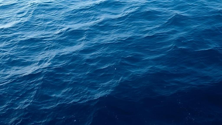 Rethinking the Ocean: New Science Charts a Transformative Path for Marine Planning