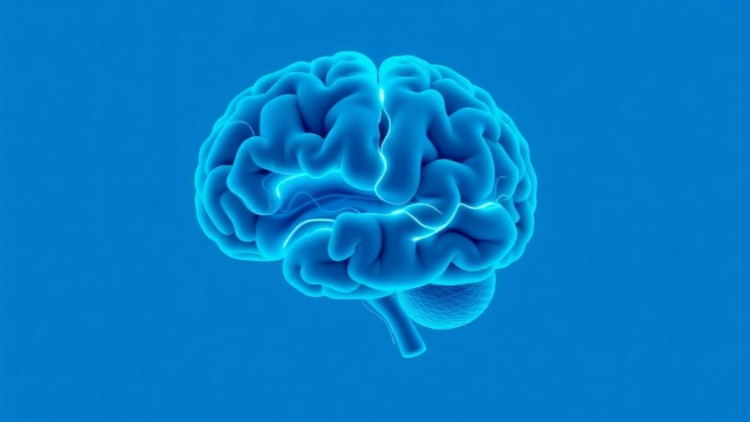 Tinnitus as a Brain Disorder? How the Diagnosis May Deepen the Distress It Aims to Cure