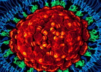 New algorithm aligns gene-activity maps of tissue without losing cell detail