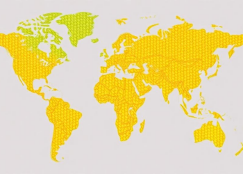 Maize Genetics Map Reveals How Starch, Protein and Yield Compete in Every Kernel
