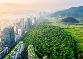 China’s Forest Cities Boost Green Efficiency Far Beyond Their Own Borders