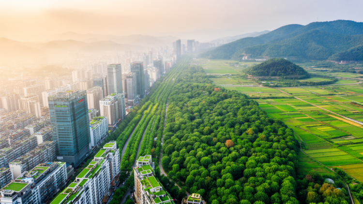 China’s Forest Cities Boost Green Efficiency Far Beyond Their Own Borders