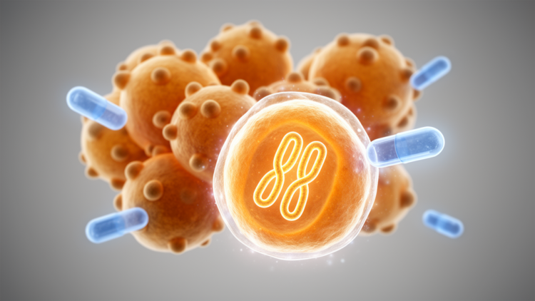 Deadly fungus beats antifungal drugs by copying its whole genome