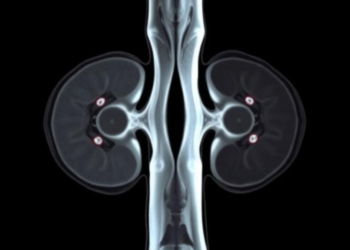 Dual-Nucleus MRI Peers Inside Bone to Tell Osteoporosis Apart From Osteomalacia