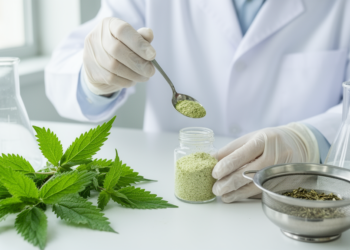 From Field to Granules: Scientists Engineer a Stomach-Soothing Brazilian Herb Into a Modern Medicine