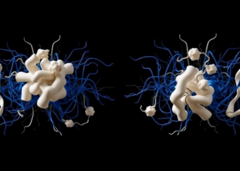 New Computational Model Explains Why Glucosamine Trials Keep Disagreeing