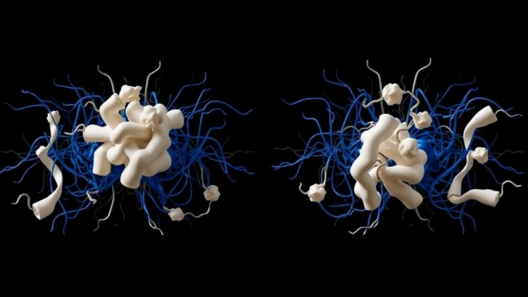 New Computational Model Explains Why Glucosamine Trials Keep Disagreeing