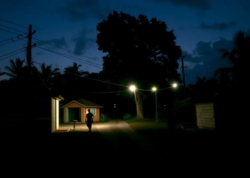 A Guyanese Village Shows How 24/7 Power Could Lift Communities From Energy Poverty