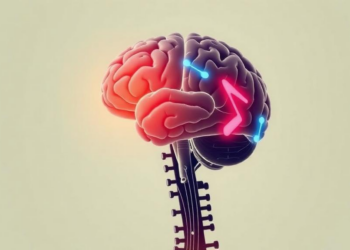 Music Helps AI Read Brain Signals of Mental Fatigue, Study Finds