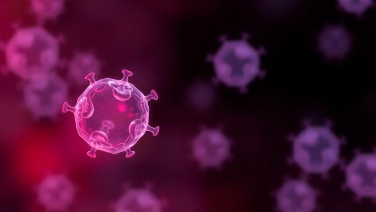 Prostate-Specific Antigen, Long a Male Cancer Marker, Emerges as a Window Into Androgen Activity in Women With PCOS