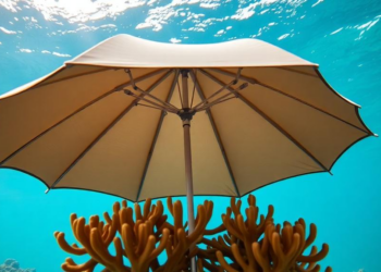 Underwater Umbrella Shades Shield Vulnerable Corals From Deadly Heat Stress
