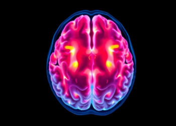 AI Reads Brain Scans Before Treatment to Predict Glioblastoma Survival