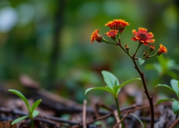 AI Could Predict How Nature Changes, If Ecologists Learn to Read Organisms’ Senses