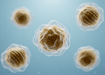 Neutrophil Fingerprints in the Blood May Predict Who Responds to Lung Cancer Immunotherapy