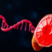 Fatty diets may drive dangerous liver pressure, genetic study suggests