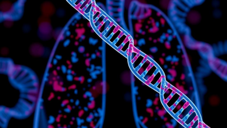 Hidden RNA Tags May Steer Lung Cancer Growth, Treatment Response, and Survival