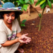 Fair-Trade Coffee Producers Learn to Win Mexico’s Home Market by Selling the Story of the Land