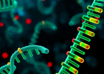 Hidden Chemical Tags on Proteins and RNA Team Up to Drive Inflammatory Bowel Disease