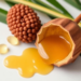 Palm kernel oil emerges as a skin-healing star in pharmaceutical science