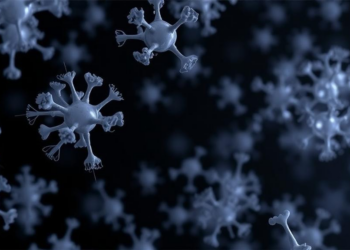 Tuberculosis Bacteria’s Secreted Proteins Emerge as New Drug Targets
