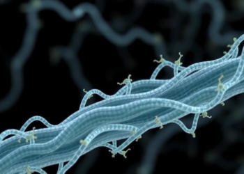 Engineered E. coli keeps two plasmids alive without antibiotics or resistance genes