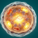 Cancer Cells Burn Energy on Futile Transcription by Shifting Their Genetic Start Lines