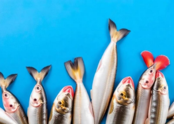 China’s Seafood Imports Are Nearing Their Ceiling, Study Finds