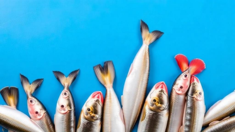 China’s Seafood Imports Are Nearing Their Ceiling, Study Finds