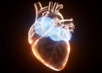 Topology Rules the Heart: Simple Wave Mathematics Terminates Atrial Fibrillation in Every Simulation