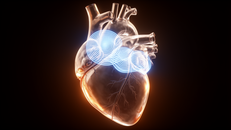 Topology Rules the Heart: Simple Wave Mathematics Terminates Atrial Fibrillation in Every Simulation