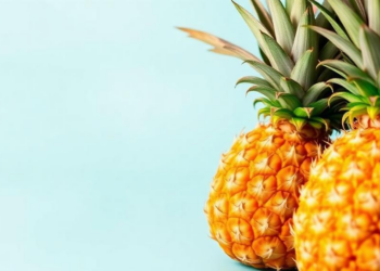 Harvest Timing Decides How Long Fiji’s Smooth Cayenne Pineapples Stay Fresh