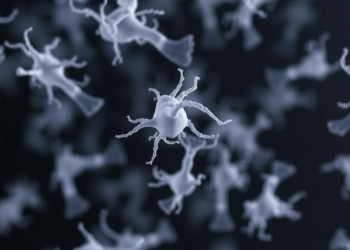 Drug-Resistant Klebsiella in Zambia Reveals Global High-Risk Clones, First Genomic Survey Shows