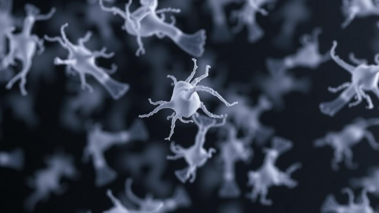Drug-Resistant Klebsiella in Zambia Reveals Global High-Risk Clones, First Genomic Survey Shows