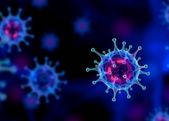 How Losing p53 Lets Mutant Cells Colonize Healthy Tissue: A Wnt Gradient Revealed