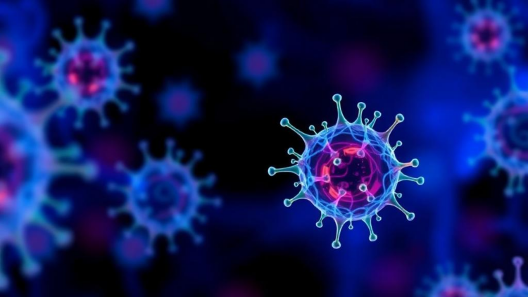 How Losing p53 Lets Mutant Cells Colonize Healthy Tissue: A Wnt Gradient Revealed