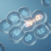 TAKO ranks gene knockout effects from wild-type single-cell data in seconds, no training required