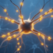 Hebbian Learning Shows How Brains Could Spend Their Synaptic Budget Wisely