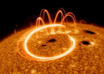 One Small Solar Flare, Two Very Different Stories: Decoding a C-Shaped Ribbon on the Sun