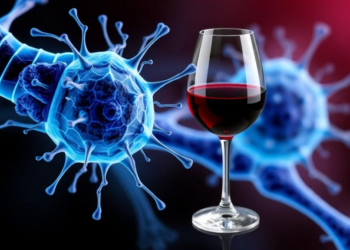 Wine-Derived Polyphenols Shield Nerve Cells From Toxic Metals, Study Finds