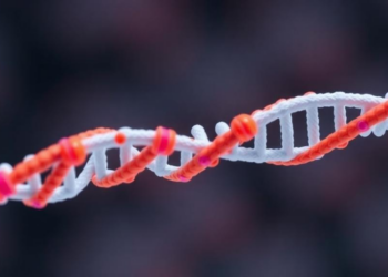 New Web Tool Helps Geneticists Pick the Right CADD Score Threshold for Every Gene